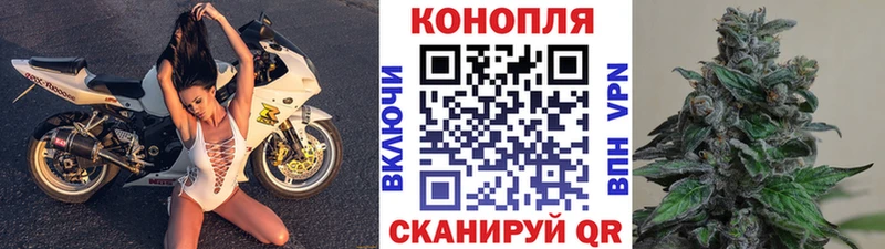 Бошки марихуана индика  Высоцк 